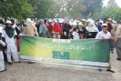 Walk on International Volunteer Day 2012